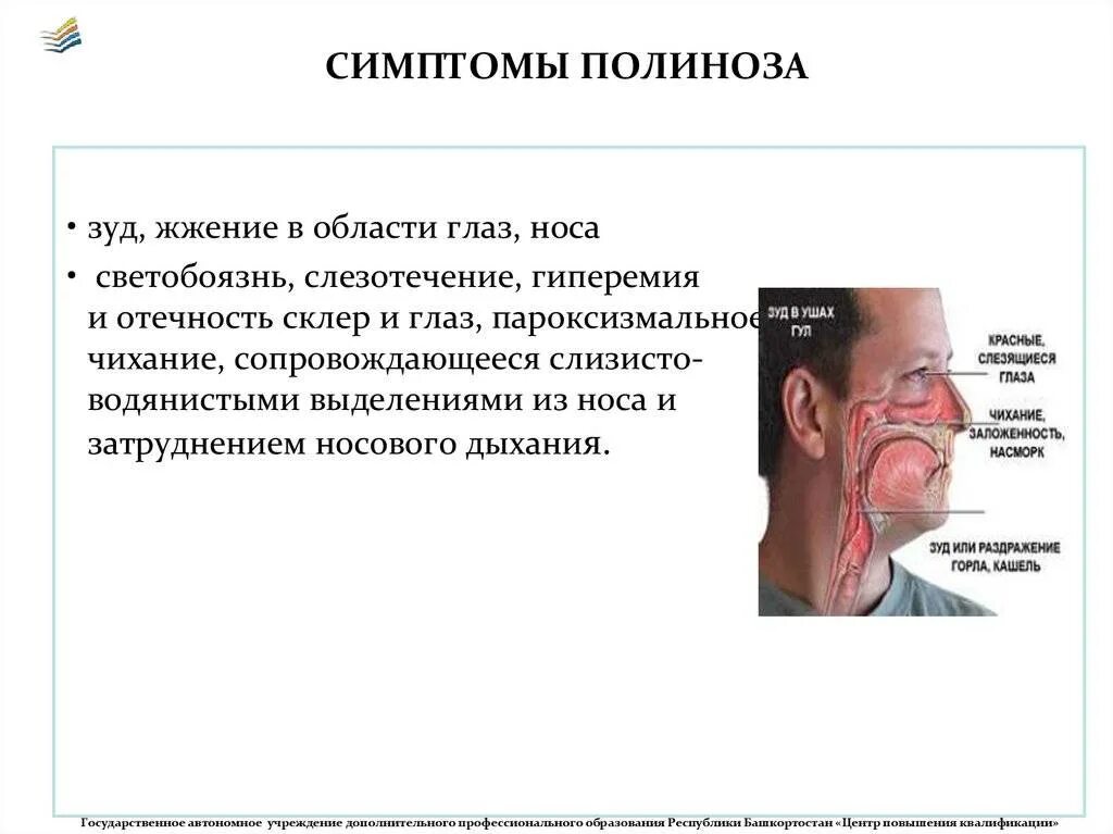Постоянно чешется нос