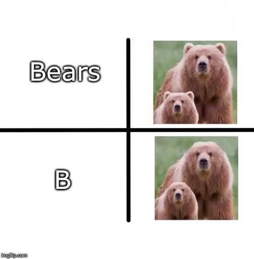 B meme. Ъбь Мем. Медведь без ушей Мем. Медведь Bear английский. Уши медведей Мем.