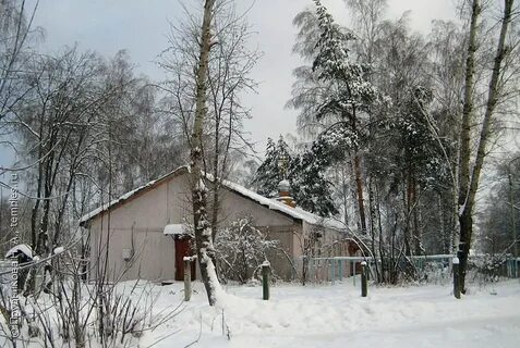 Ногинск 9 дуброво