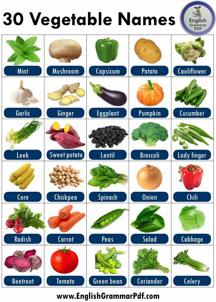 Vegetables список. Овощи на английском языке. Vegetables names. Kinds of Vegetables.