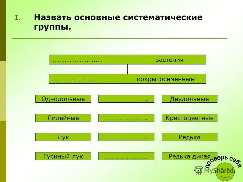 Систиматические группа. Таблица биология 6 класс царство отдел. Таксоны царство тип класс отряд. Систематика. Систематика растений таксономические единицы.