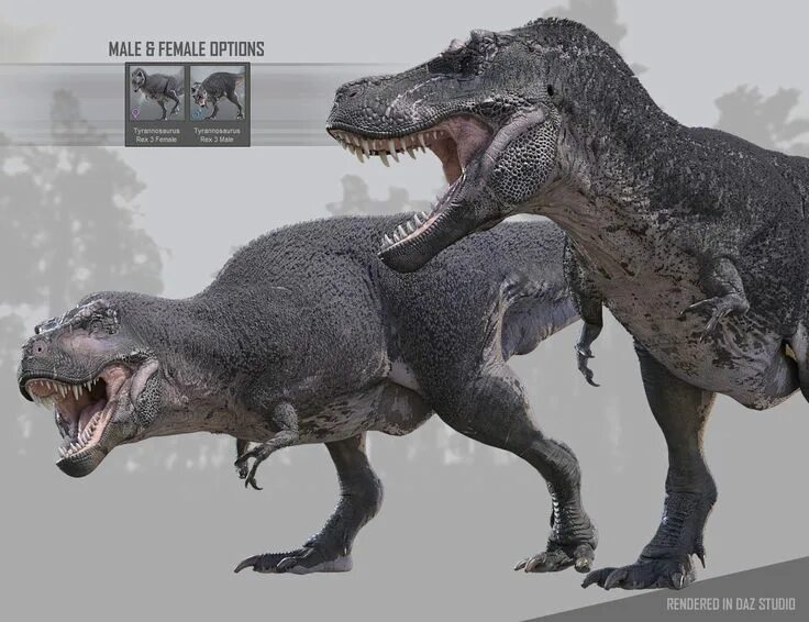 Инструкция t rex 3. Tyrannosaurus rex 3d. тираннозавр реконструкция 2025. derrianimals тираннозавр. тираннозавр из prehistoric kingdom.
