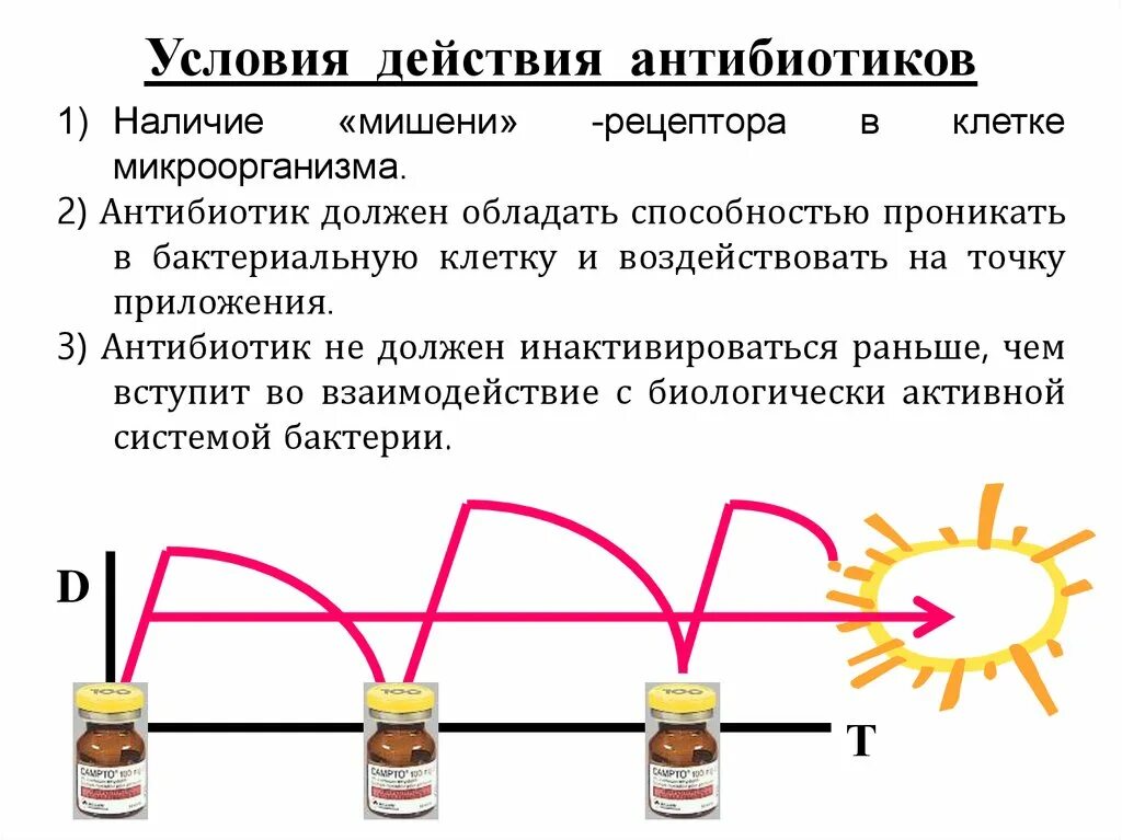 Основные мишени антибиотиков. Мишени воздействия антибиотиков. Антибиотики по механизму действия мишени. Мишени действия антибиотиков на микроорганизмы.