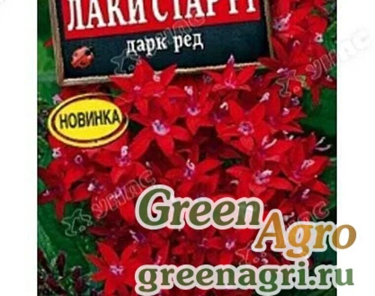 Dark red перевод текста. Dark red перевод текста