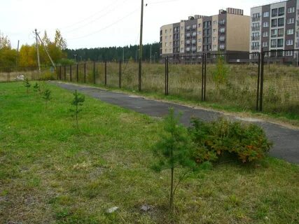 Аллеи петрозаводска