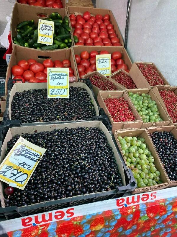 люберецкий рынок часы работы