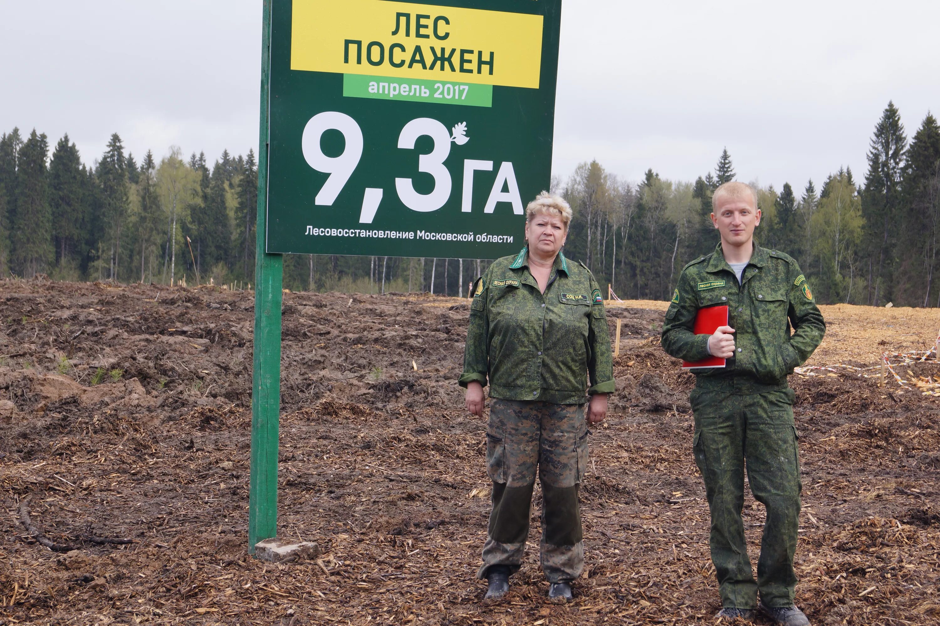 Инвентаризация лесных культур. Техническая приемка лесных культур. Акт технической приемки лесных культур. Приемка леса.