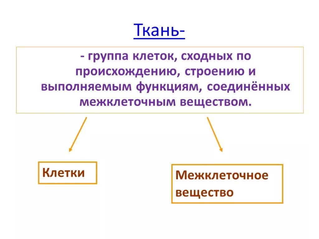 Сходные по строению функциям и происхождению. Группы тканей. Группа клеток. Группа клеток сходных по строению и выполняемым функциям. Группу клеток сходного.