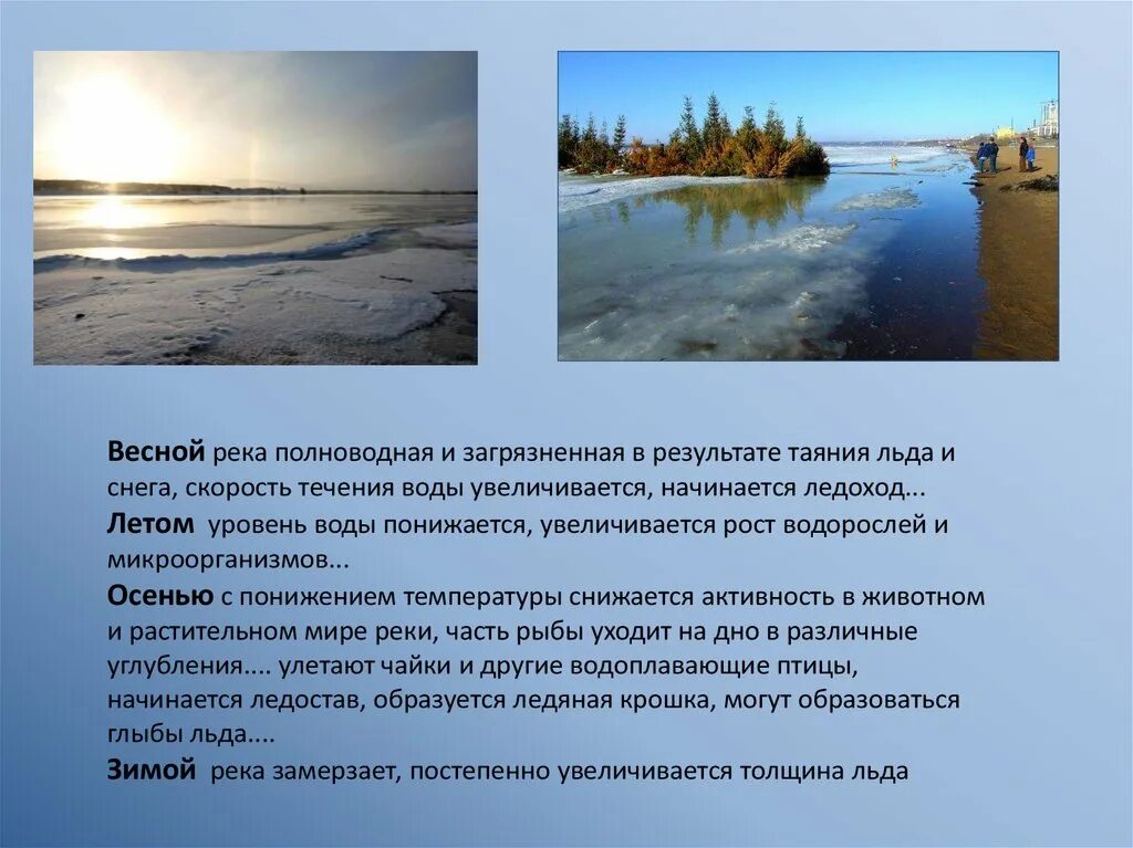 Как река волга изменяется в разные времена. Описание реки Волга. Река Волга презентация. Сообщение о реке Волге. Презентация на тему Волга 4 класс.