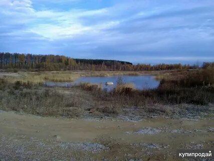 Пахотная горка новгородская область