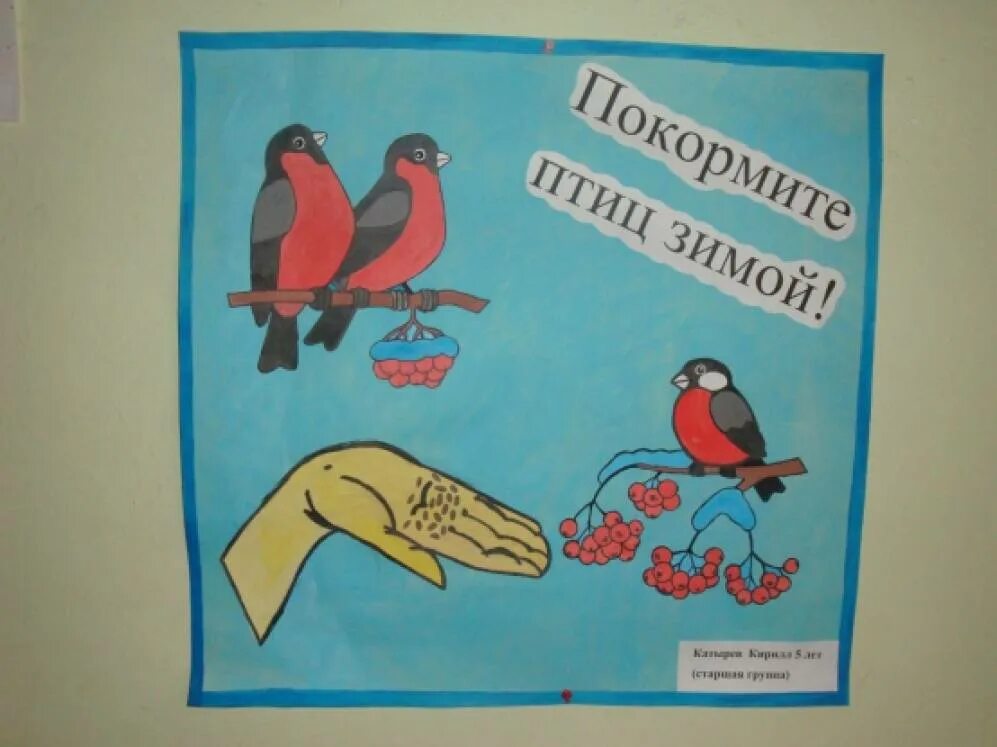 Листовка встречаем пернатых. Плакат птицы наши друзья. Плакат пернатые друзья. Стенгазета берегите птиц. Листовки на тему птиц.