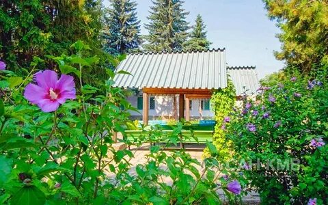 Ессентуки павлово