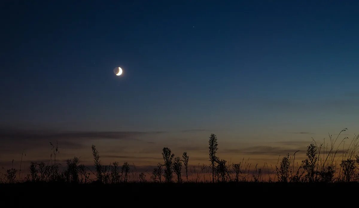 Пепельный свет Луны. Поздний лунный вечер. Поздняя Луна. Пепельная ночь. Содержание поздним вечером