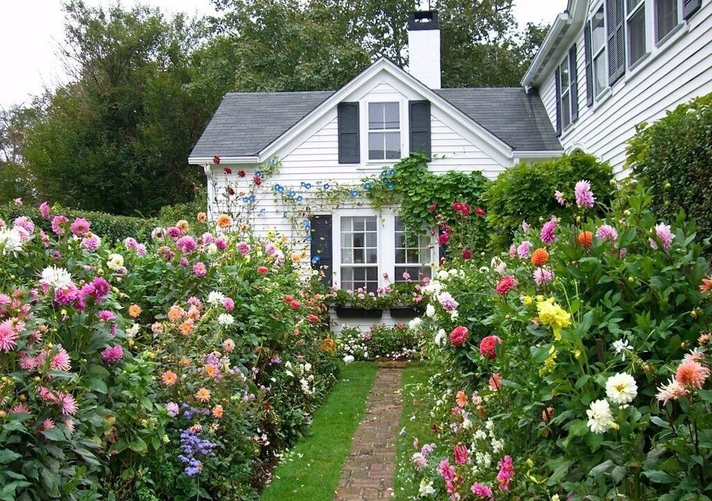 Красивая дача. Дача в цветах. Дачный домик в саду. Цветы для сада и огорода.