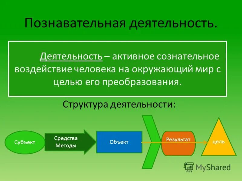 Познание как вид деятельности 6 класс