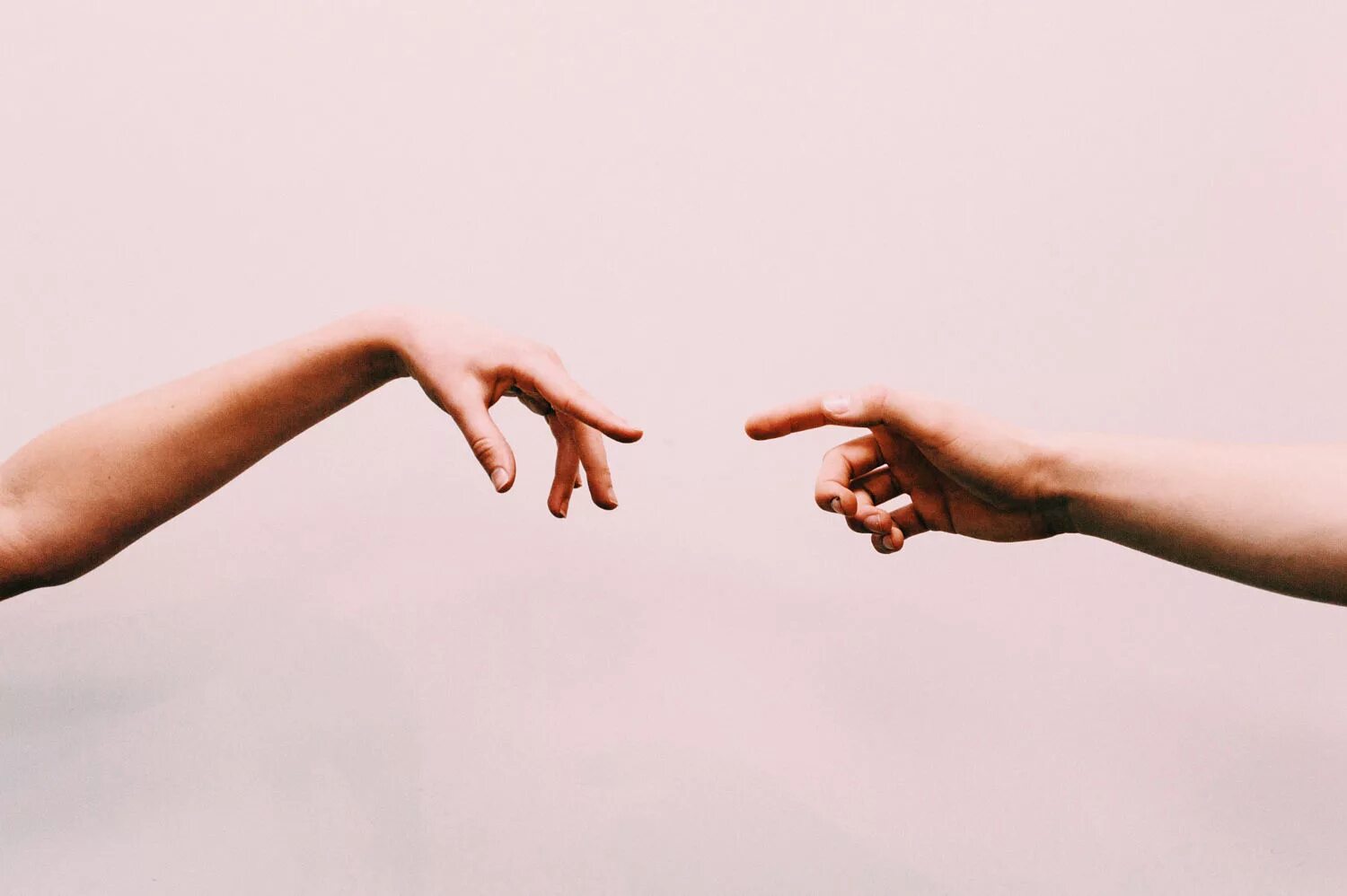 Письмо вниипо мчс касательно кинологической базы. Касается установить. Установка приложения. Недостатки системы скаут. Руки влюбленных.