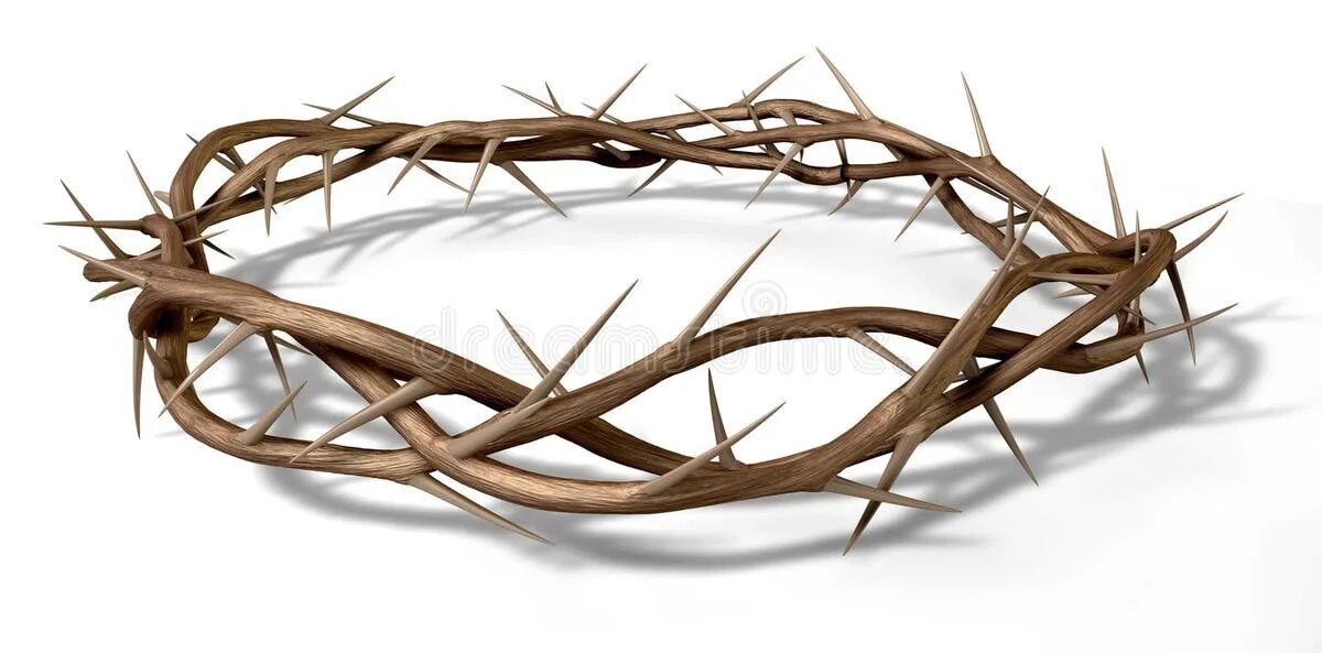 Out of branches