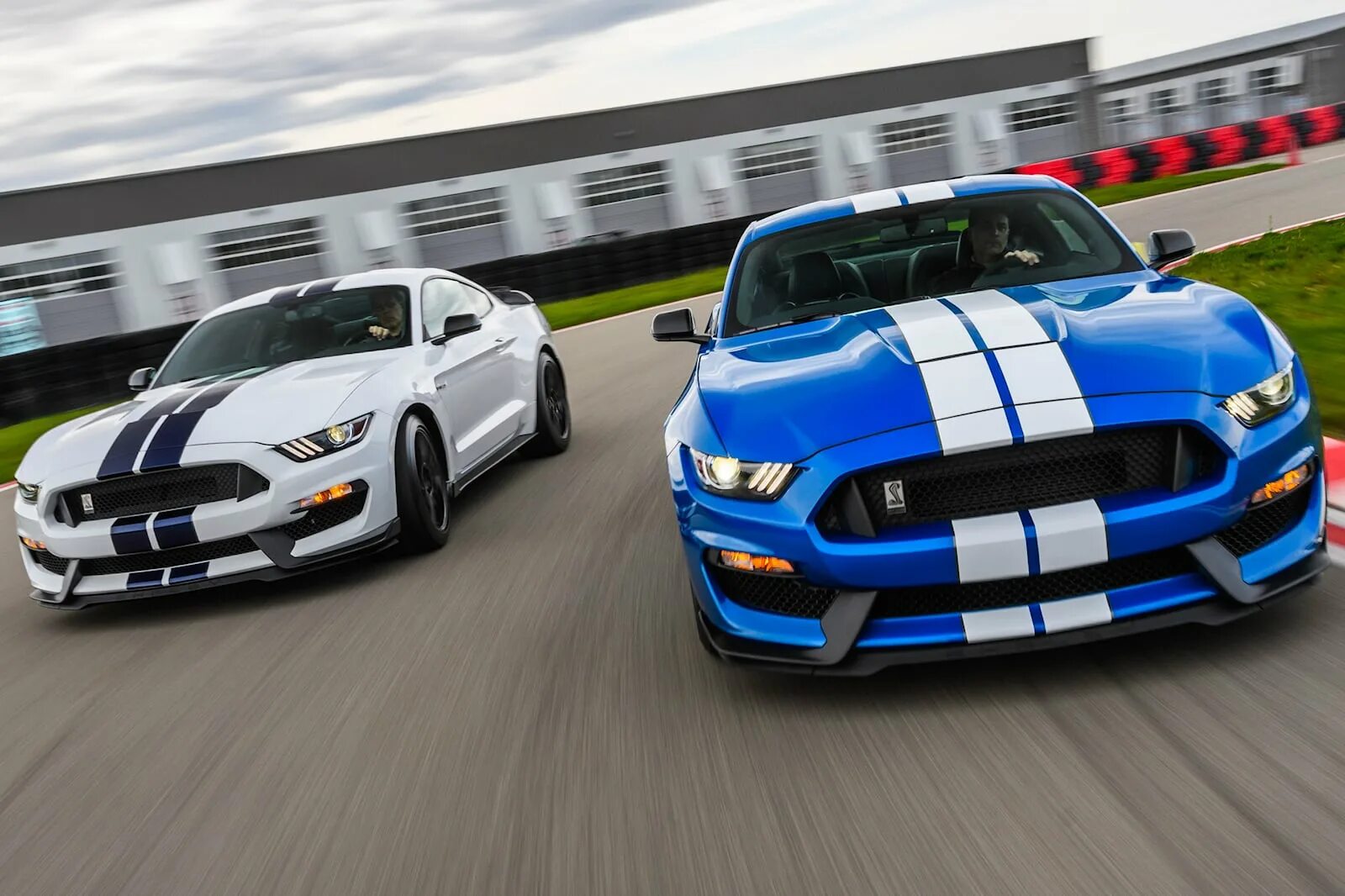 Ford Shelby gt350r. Ford Mustang Shelby gt350. Форд Мустанг Шелби gt 350 2019. Форд Мустанг gt 350 2020. Расход форд мустанг