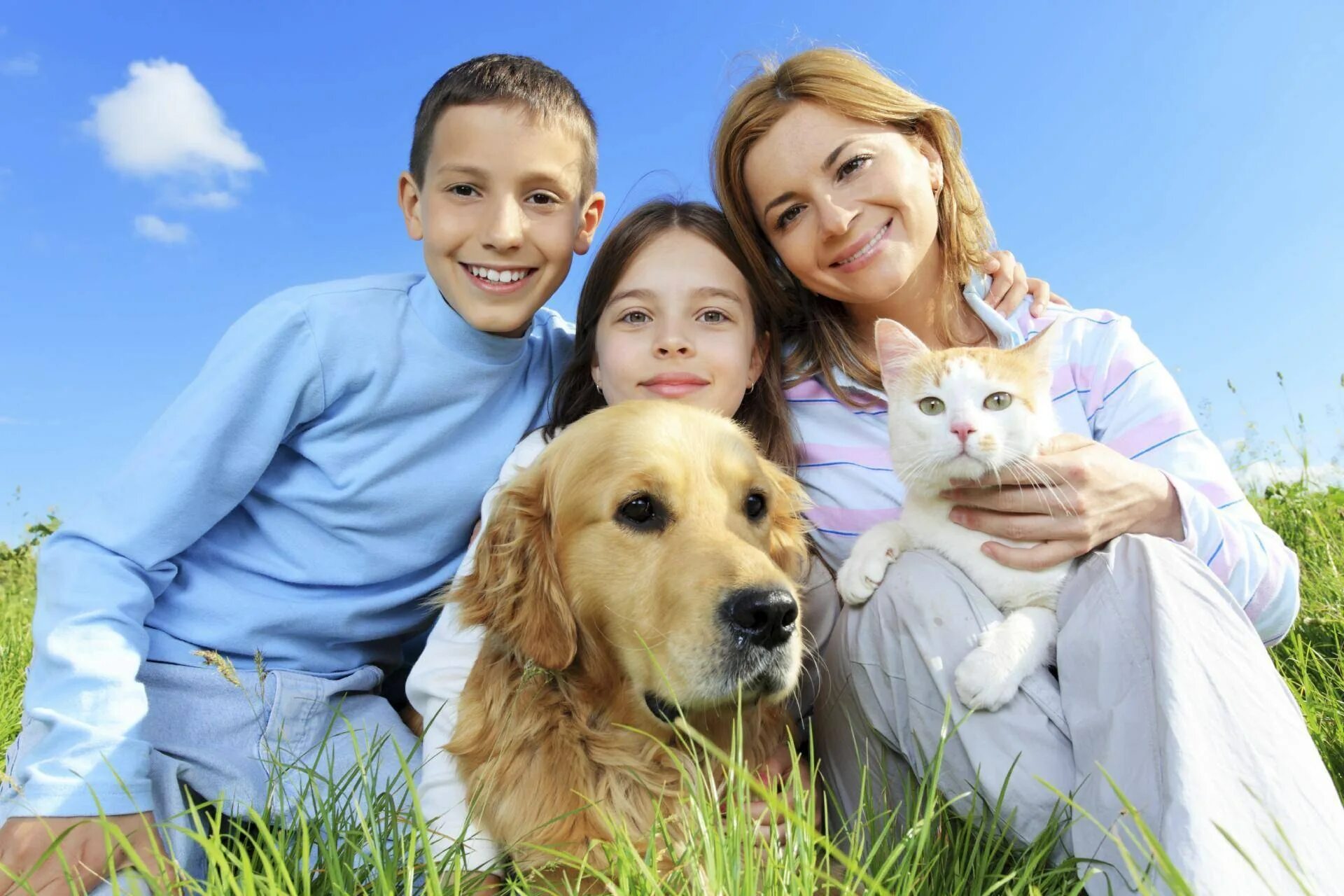 Pet family отзывы. Семья с собакой. Семья. Домашние животные. Собаки для семьи с детьми. Счастливая семья с собакой.