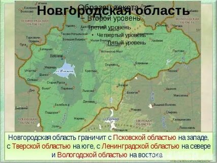 С какими областями граничит новгородская область