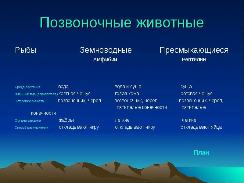 Среда обитания пресмыкающихся и млекопитающих. Среда обитания позвоночных. Класс пресмыкающиеся среда обитания. Среда обитания земноводных и пресмыкающихся. Местообитание рептилий.