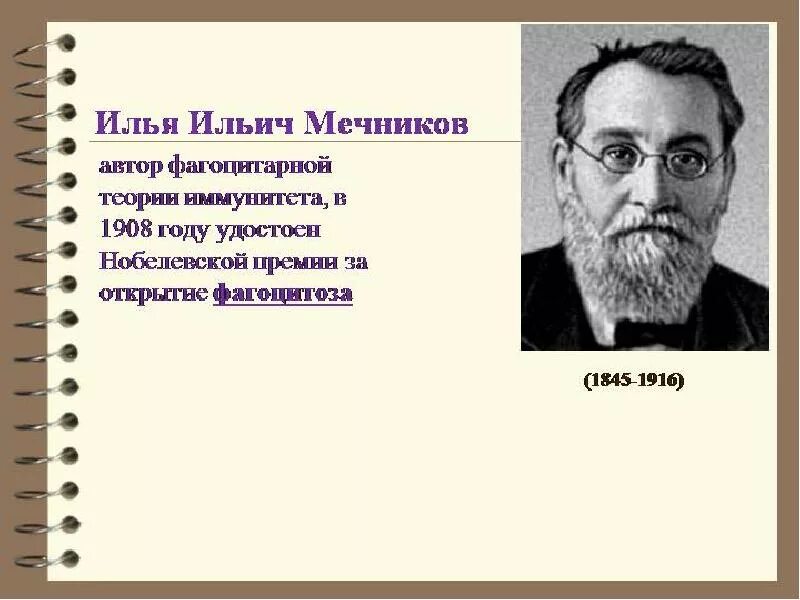 Мечников учение о клеточном иммунитете. Нобелевская премия Мечникова 1908.