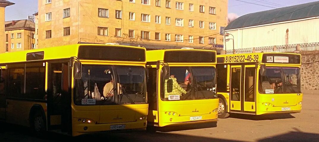 Автобусы Мурманск. 124 Автобус Мурманск. Автобус 10 Мурманск. Мончегорск автобус городской. Автобус мурманск ковдор