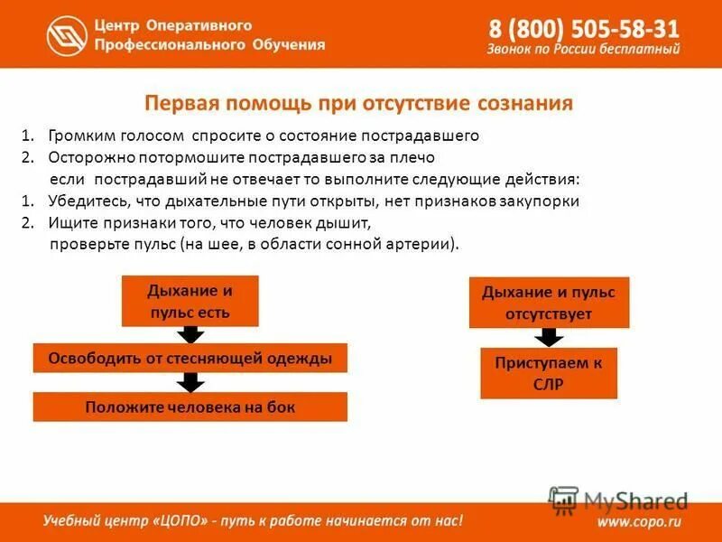 ответ на звонок на горячую линию. звонок бесплатный. мол булак. автоматизированная обработка персональных данных это. 8800 иконка.