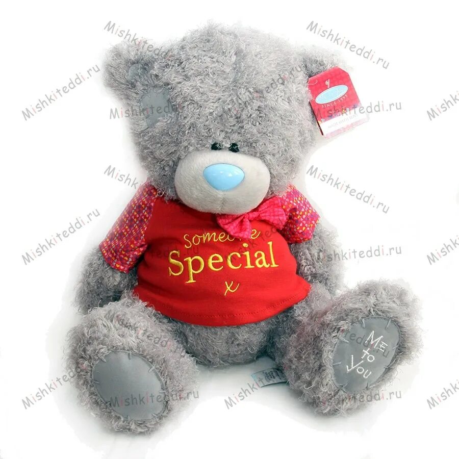 Мишка тедди игрушка. Гипатия мишки тедди. Плюшевый медведь тедди. Магазины мишек тедди. Магазины мишек тедди.