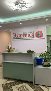 Эхинацея верхняя красносельская