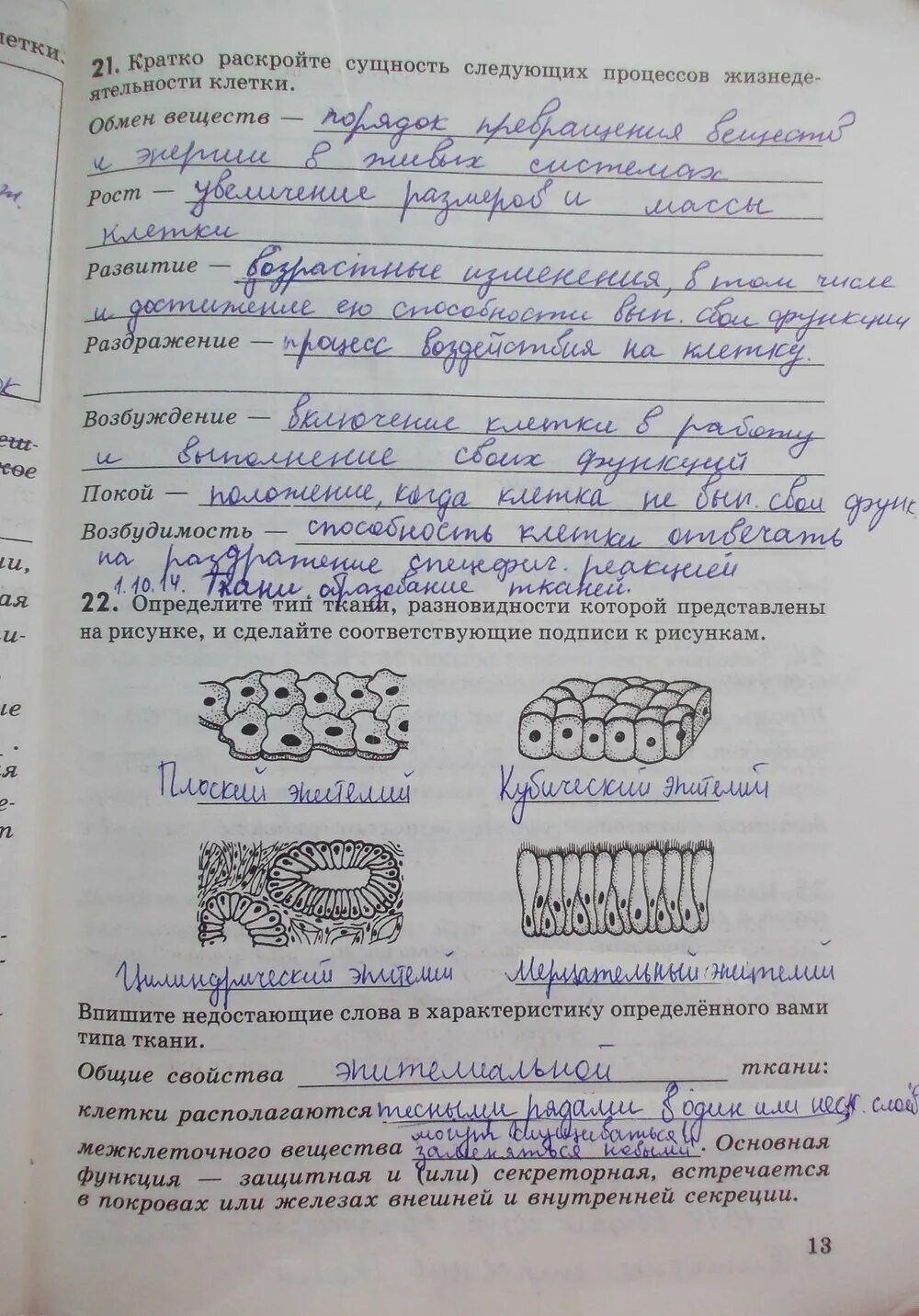 Биология маш 8 класс ответы. Решебник по биологии 8 класс Колесов рабочая тетрадь. 13 Задание биология. Биология рабочая тетрадь 8 класс страница 13 ответы. Жизнедеятельность клетки 5 класс биология.