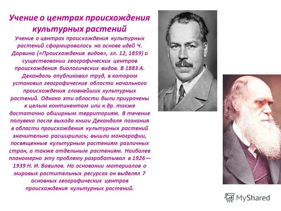 Какой ученый создал учение о центрах происхождения. Происхождение растений Вавилова. Учение Вавилова о центрах происхождения культурных растений. Центры многообразия и происхождения культурных растений Вавилов. Учение Вавилова о центрах.