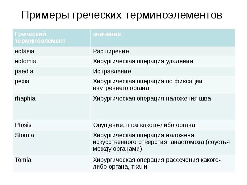 Что обозначает слово латынь. Терминоэлемент в латинском языке. Термин элементы латынь. Термины на латинском языке. Терминоэлементы латынь.