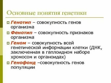 Случайное изменение генотипа это