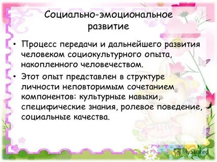 Социально эмоциональное развитие педагогов