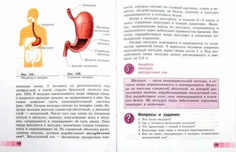 Биология 8 класс коррекционной школы