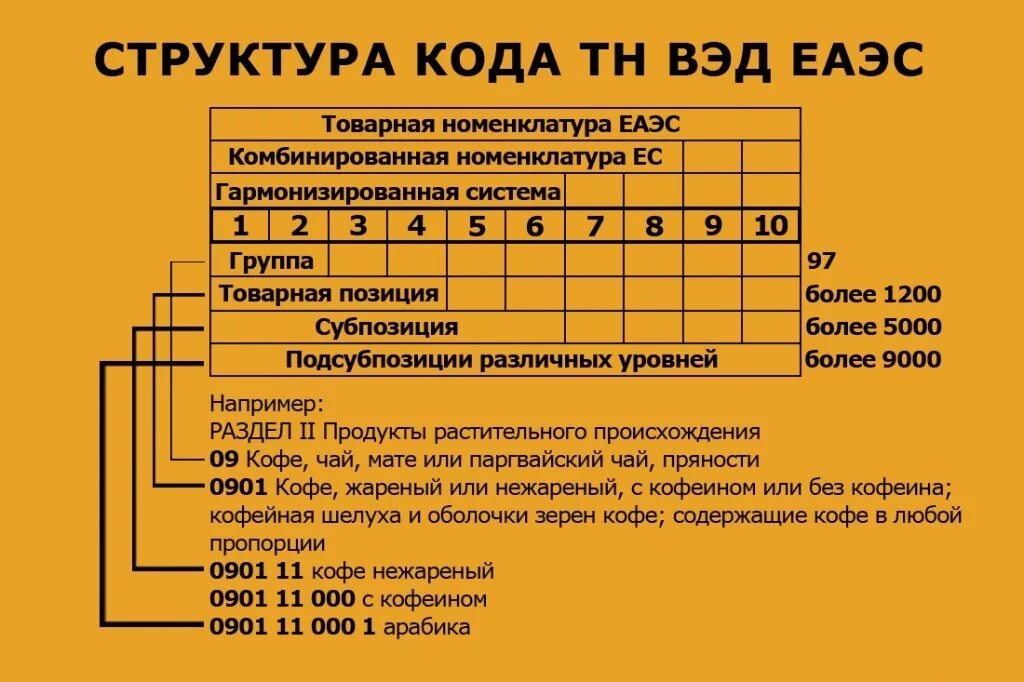 Где найти расшифровку. Товарная группа тн ВЭД. Структура кода тн ВЭД. Товарная номенклатура внешнеэкономической деятельности. ТНВЭД коды что это.