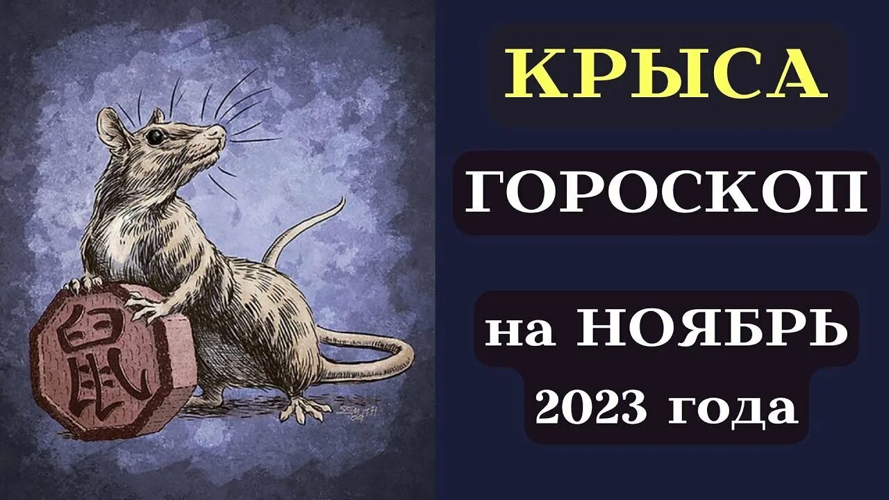 Гороскоп тигра на 2025 года женщина
