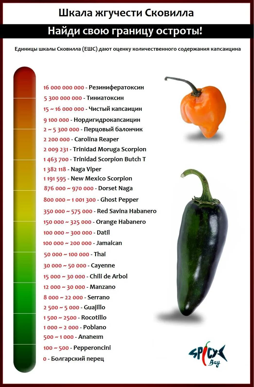 Перец халапеньо шкала Сковилла. Перец халапеньо шкала остроты. Шкала Сковилла перец Чили. Перец Табаско шкала Сковилла.
