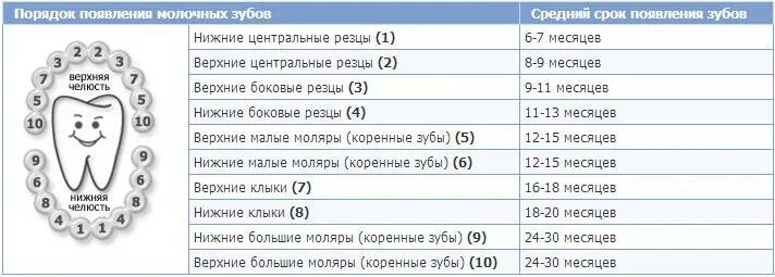 Схема прорезывания молочных зубов у детей до 2 лет. Схема прорезывания зубов у детей по возрасту. Схема прорезывания молочных зубов у детей до 2 лет. Зубы у детей порядок прорезывания коренных зубов. Зубы у младенца порядок.