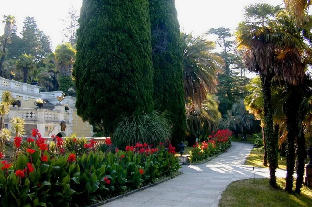 Парк-дендрарий ботанического сада спб. Сочинский национальный парк дендрарий. Парк дендрарий адлер. Пандус дендрарий сочинский. Парк дендрарий адлер.