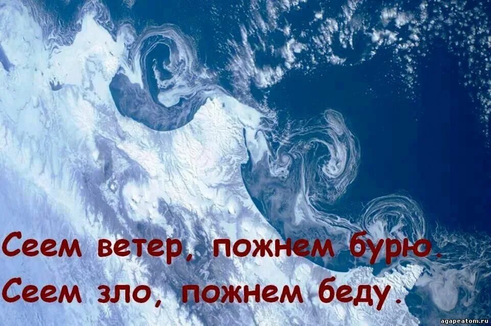 Посеешь ветер пожнешь бурю. Цитата сеющий ветер пожнет бурю. Изречение посеешь ветер пожнёшь бурю. Посеяли ветер пожали бурю