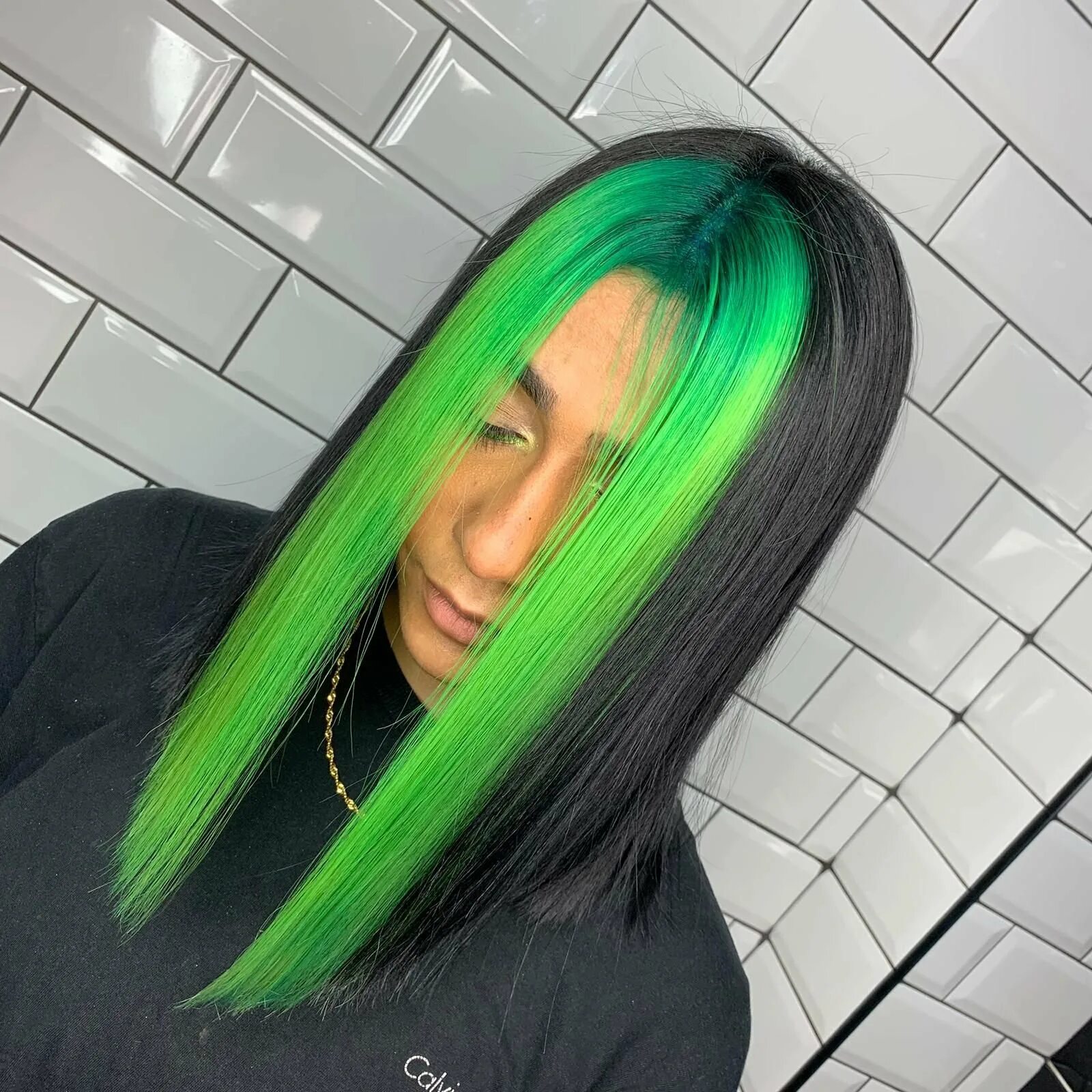 Чёрные волосы с зелёными прядями. Зелёные пряди на тёмных волосах. Девушка с зелеными волосами. Черный цвет волос с зелеными прядями.