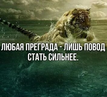 Стала сильней плюс