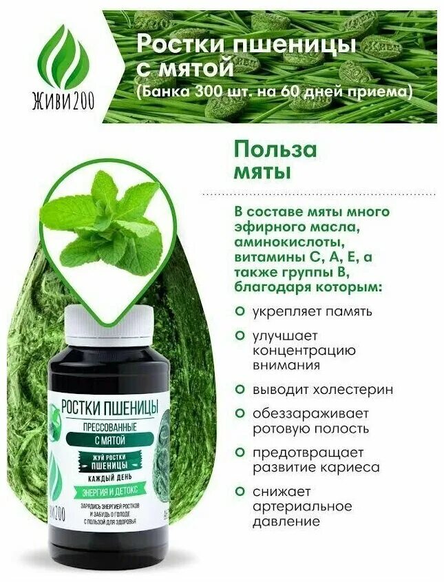 Выжимка из ростков пшеницы. Ростки пшеницы живи 200. Ростки пшеницы прессованные. Живи 200 отзывы. Масло ростков пшеницы.
