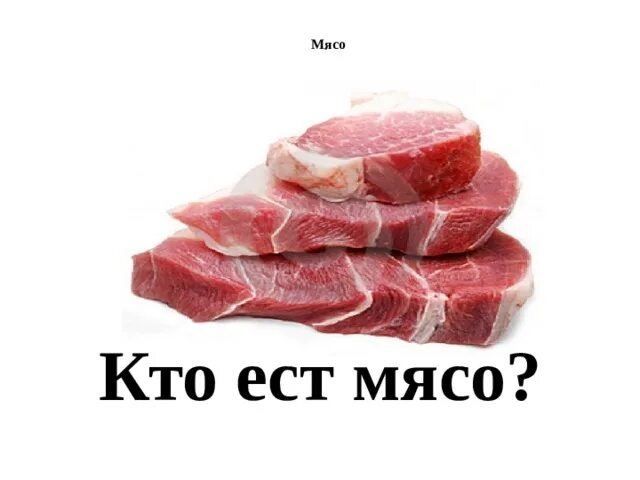 Кто мы мясо картинки. Мы мясные. Кто мы мясо плакат. Кто мы мясо