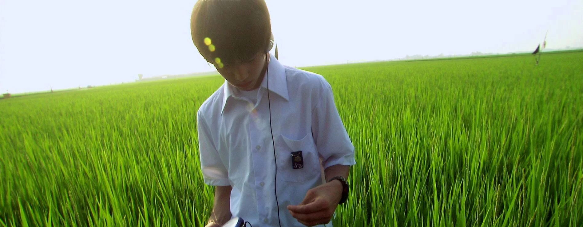 All about lily chou-chou (2001), dir. Фильм all about lily chou. All about lily chou-chou 2001. Все о лили чоу-чоу (2001). Все о лили чоу-чоу фильм 2001.