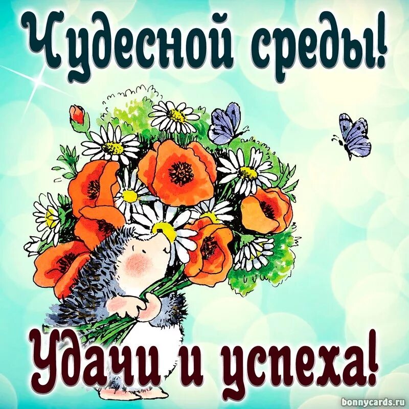 Открытки с добрым утром среды. Пожелания с добрым утром среды. Открытки со средой. Поздравление со средой и добрым утром.