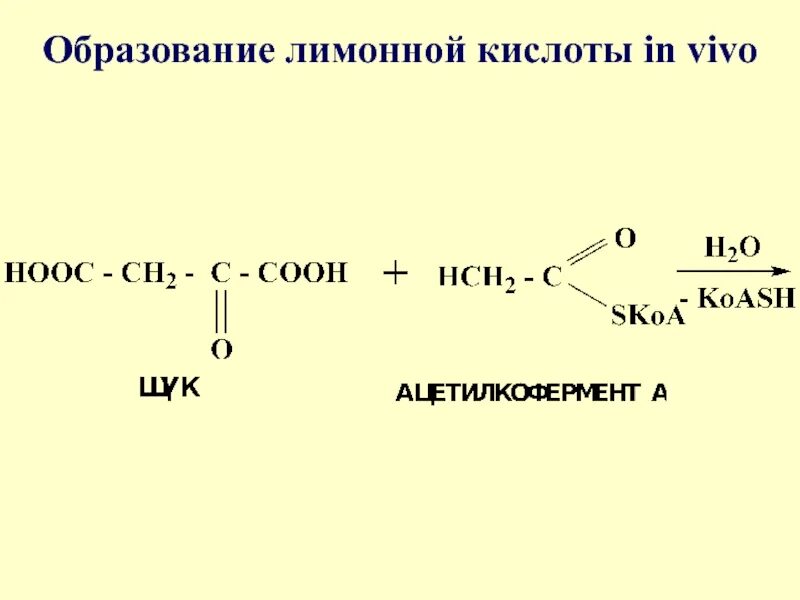 Образование щавелевоуксусной кислоты in vivo. Реакция образования лимонной кислоты. Реакция образования кислоты. Реакция образования еислот. Уксусную кислоту можно получить в реакции