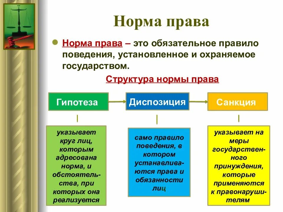 Каково значение политических прав для общественной жизни. Правовые нормы определение.